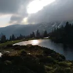 Appartement Aux Pieds Des Pistes *