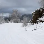 Appartement Aux Pieds Des Pistes *