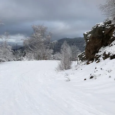 Apartment Aux Pieds Des Pistes *