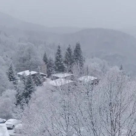 Aux Pieds Des Pistes *