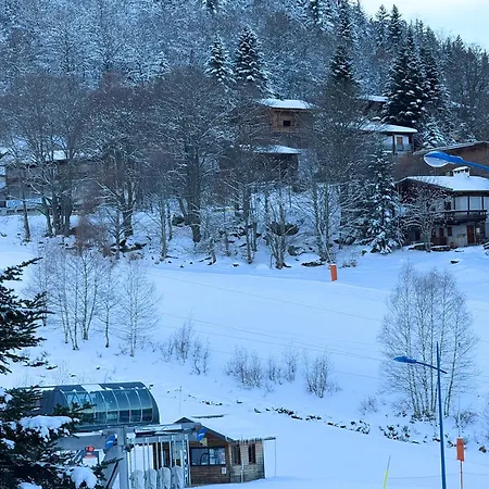 Apartment Aux Pieds Des Pistes