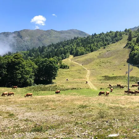 Apartment Aux Pieds Des Pistes
