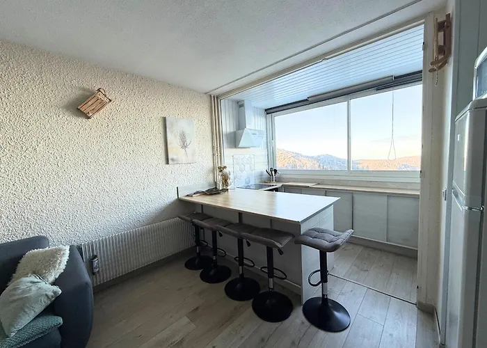 Apartamento Aux Pieds Des Pistes Montferrier