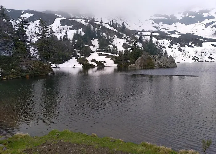 Aux Pieds Des Pistes Montferrier