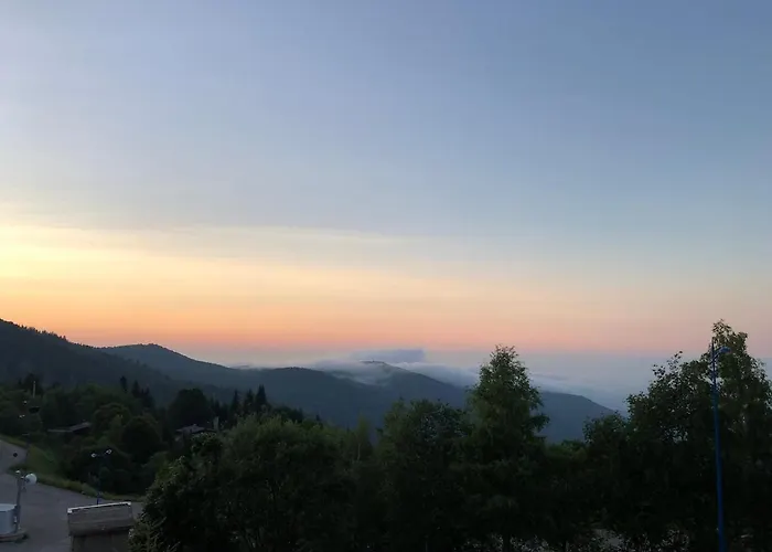 Aux Pieds Des Pistes *