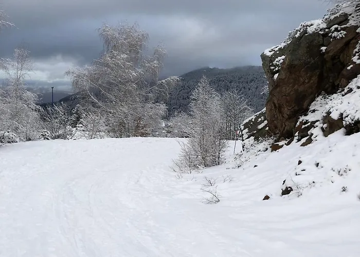 Apartamento Aux Pieds Des Pistes *