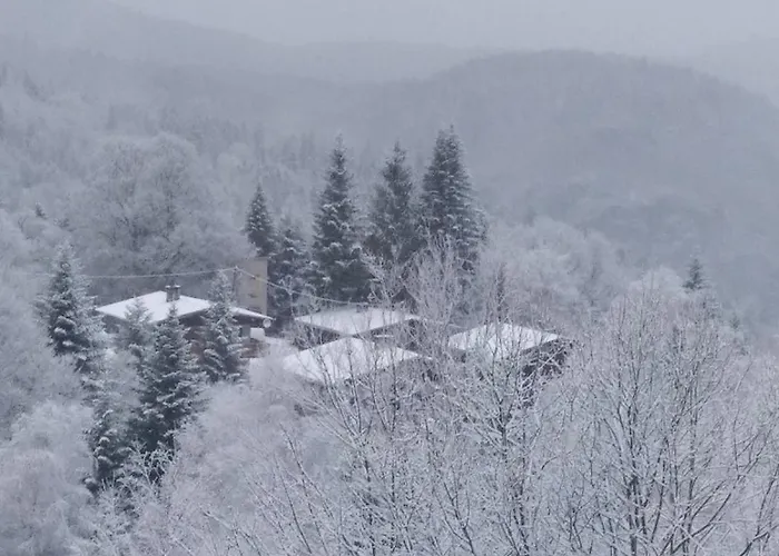 Aux Pieds Des Pistes *