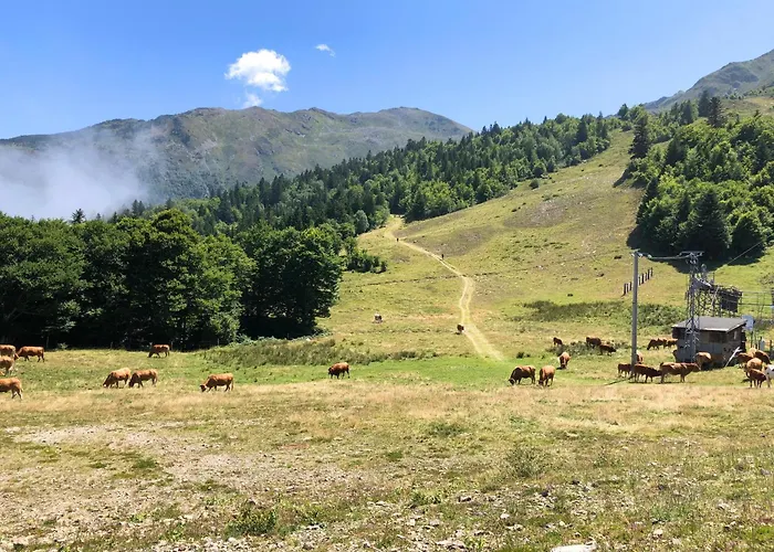 Apartamento Aux Pieds Des Pistes